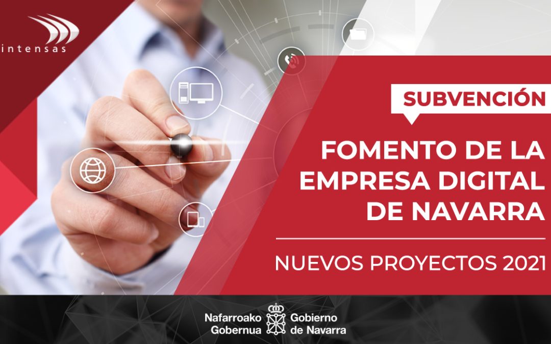 Fomento de la empresa digital de Navarra 2021